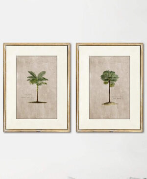 One World – Set 2 Palm Prints Timber Frame
